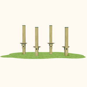 Playground Hop-along Disc Crossing