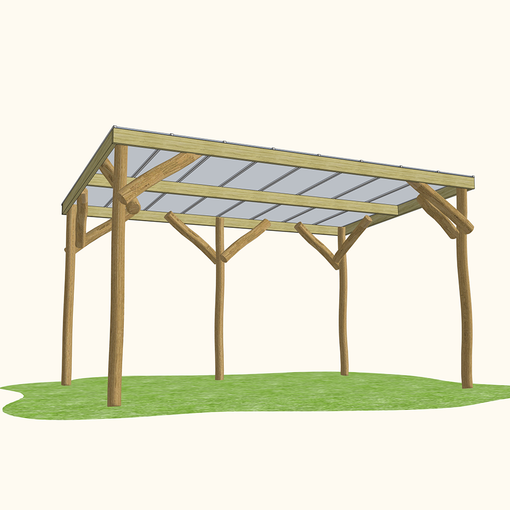 Robinia Shelter with Clear Roof