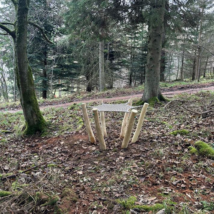 forest-holidays-playground-project-2