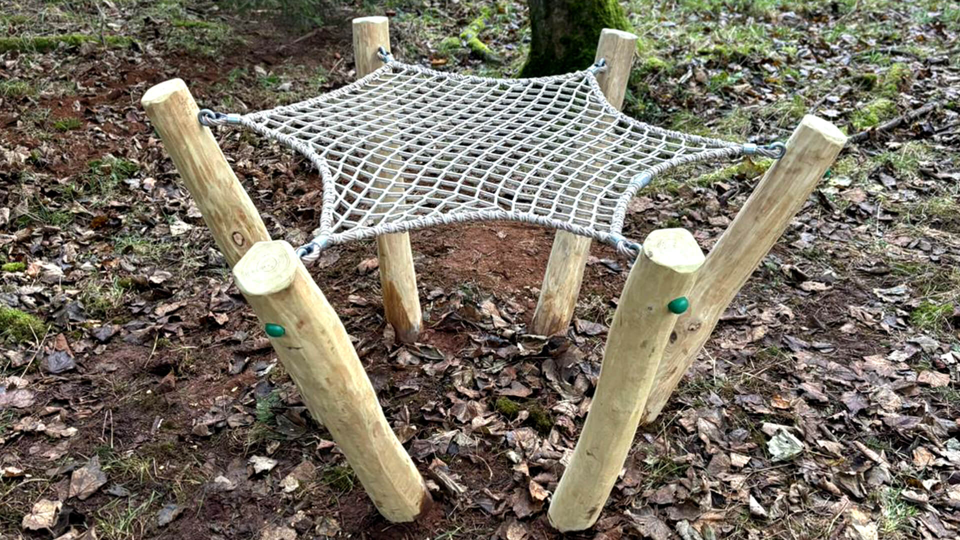 forest-holidays-project