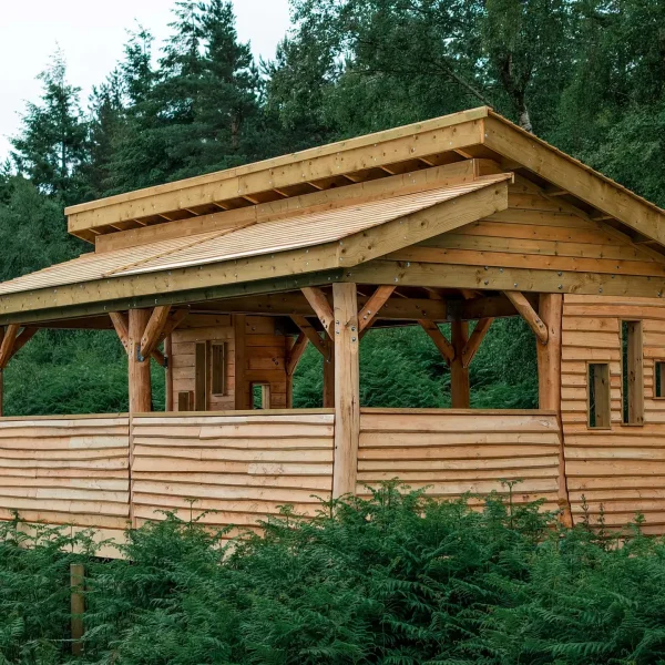 Haldon-Forest-2