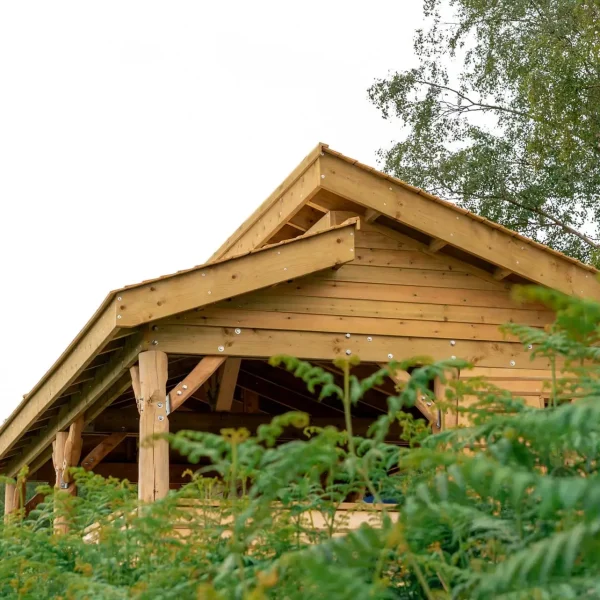 Haldon-Forest-5