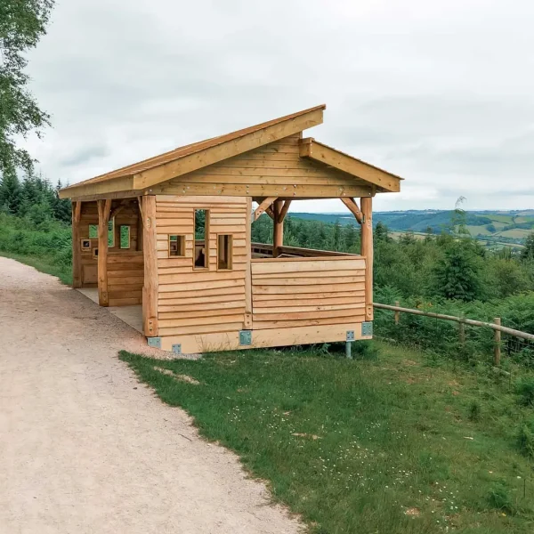 Haldon-Forest-6