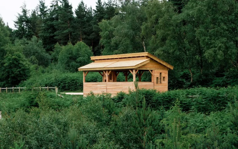 Haldon-Forest