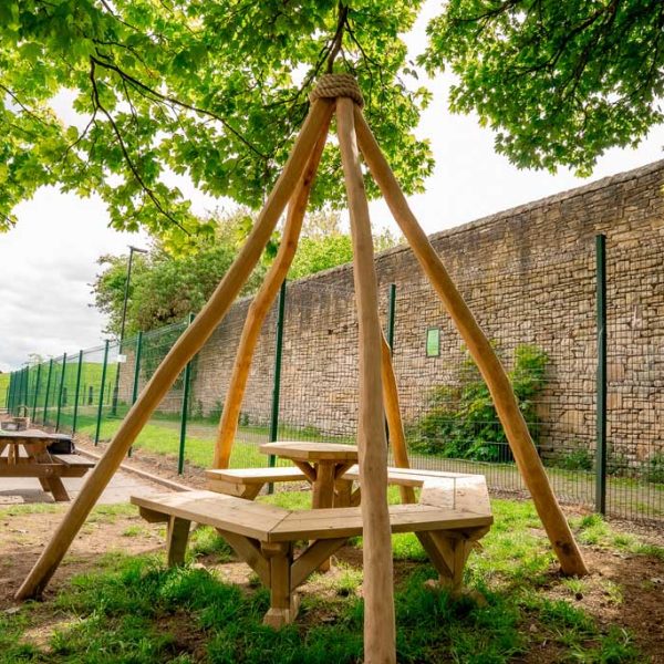 Robinia Timber (2)