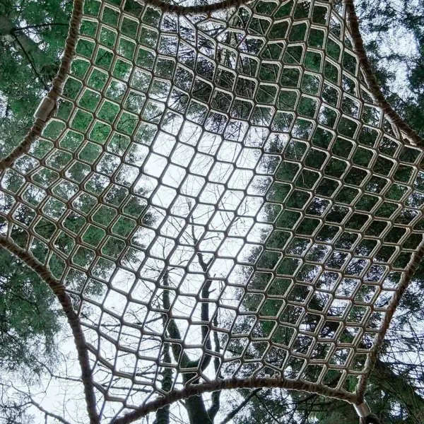 Stargazing Outdoor net (4)